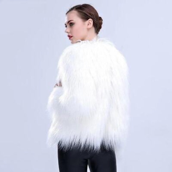 ZARA FAUX FUR JACKET BLOGGER FAV - Picture 10 of 12